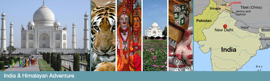 Study Abroad in India 2015
