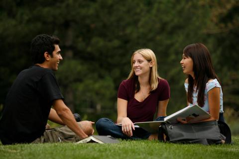 students studying on lawn