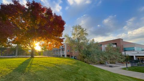 RRCC Lake wood Campus Large tree with fall colors